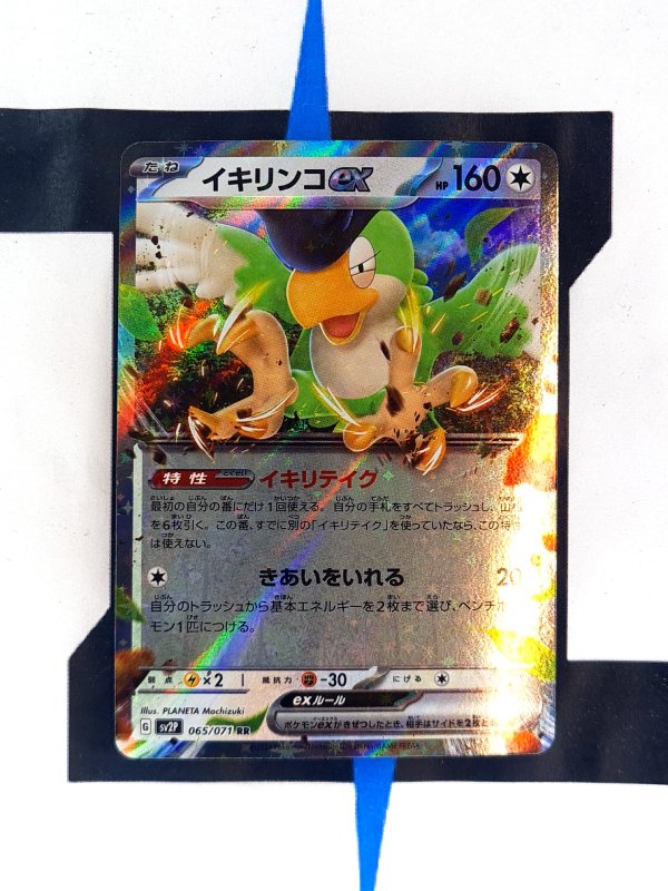 pokemon-karten-squawkabilly-ex-snow-hazard-65-japanisch