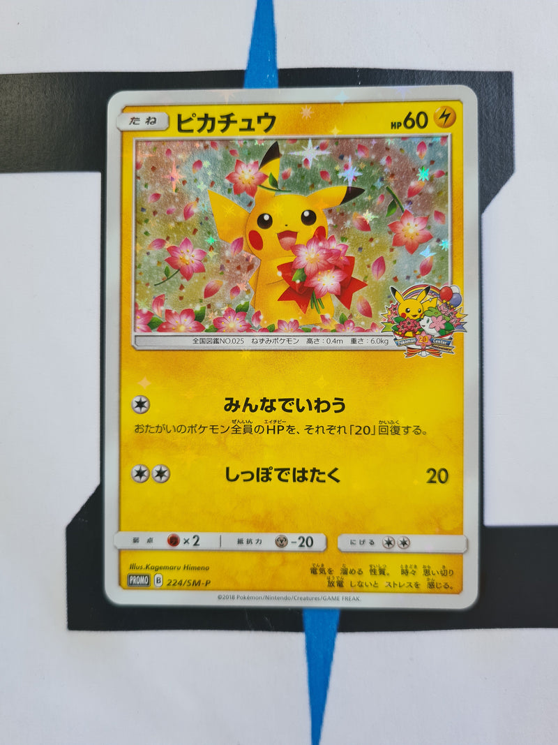 Pikachu SM-P 224 JP EX