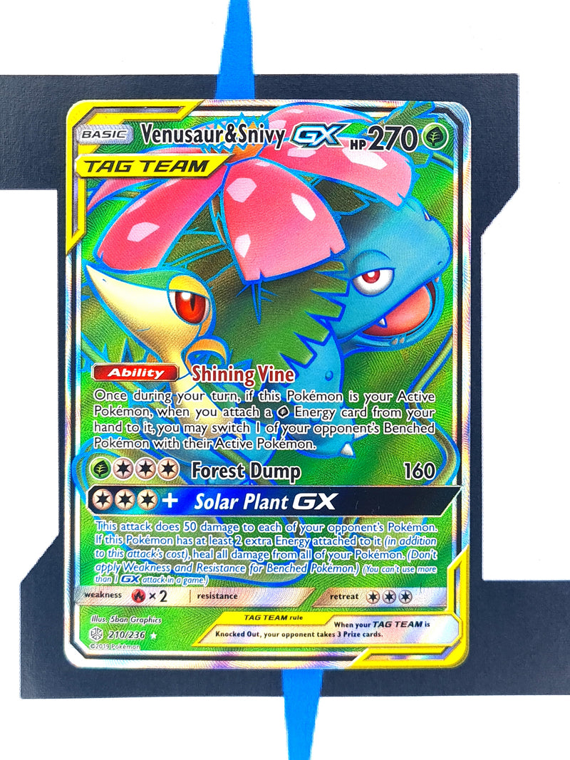 Venusaur & Snivy GX CEC210 EN EX